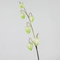Home Party Wedding Decoration 1 PCS 71 Cm Beautiful Artificial Long Stem Red Lantern Flowers Silk Flowers